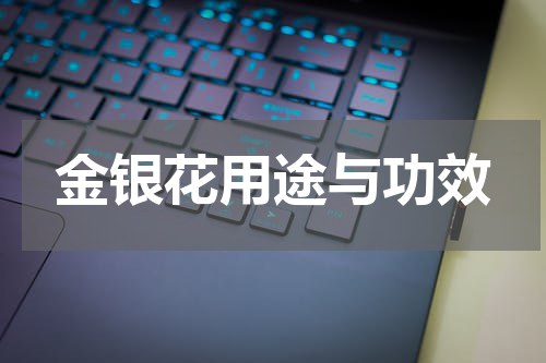 金银花用途与功效