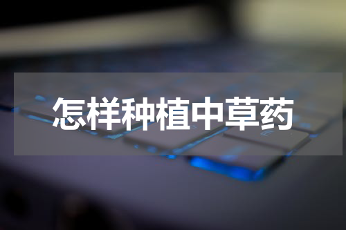 怎样种植中草药