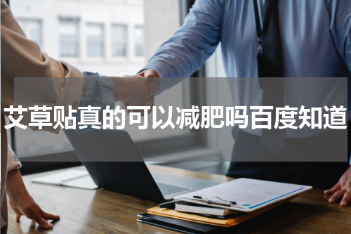 艾草贴真的可以减肥吗百度知道