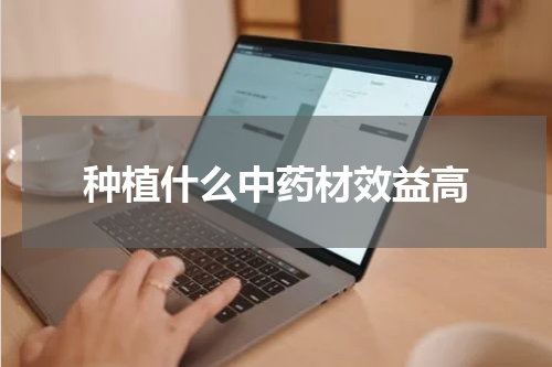 种植什么中药材效益高