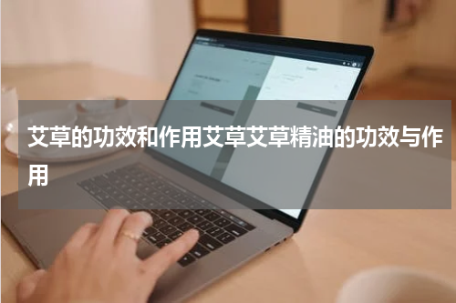 艾草的功效和作用艾草艾草精油的功效与作用