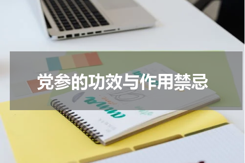 党参的功效与作用禁忌