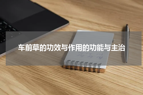 车前草的功效与作用的功能与主治