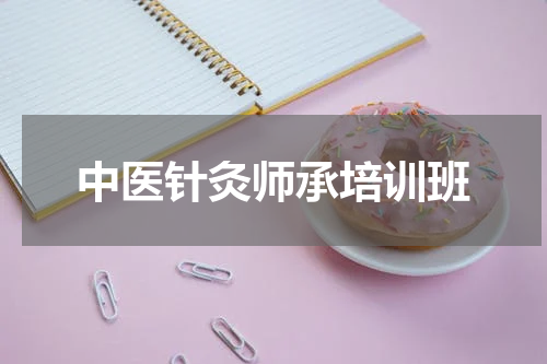 中医针灸师承培训班