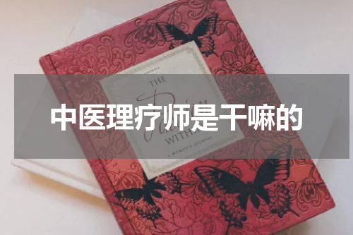 中医理疗师是干嘛的