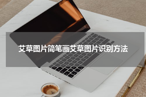 艾草图片简笔画艾草图片识别方法