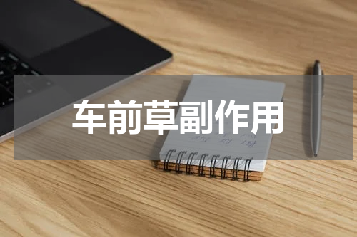 车前草副作用