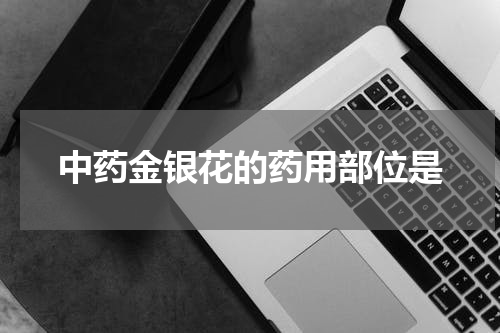 中药金银花的药用部位是