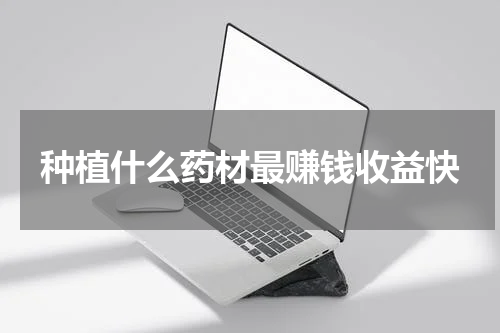 种植什么药材最赚钱收益快