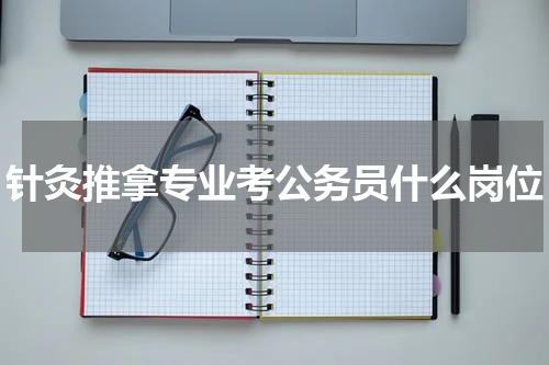 针灸推拿专业考公务员什么岗位