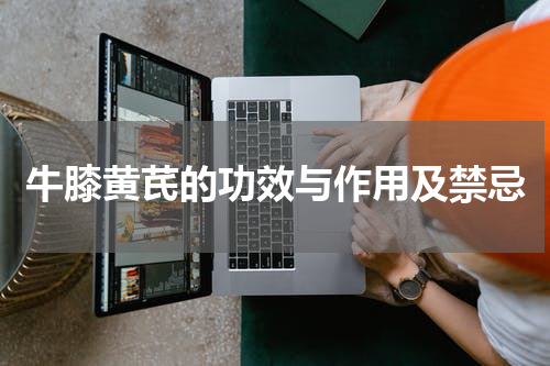 牛膝黄芪的功效与作用及禁忌