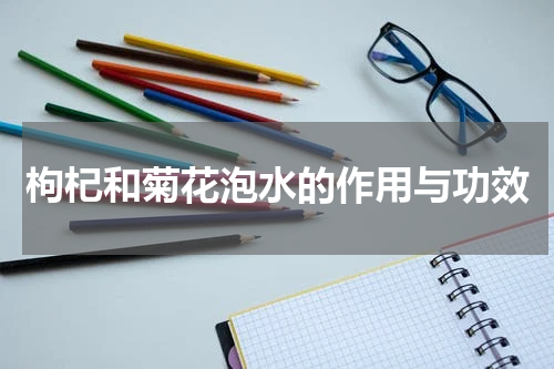 枸杞和菊花泡水的作用与功效
