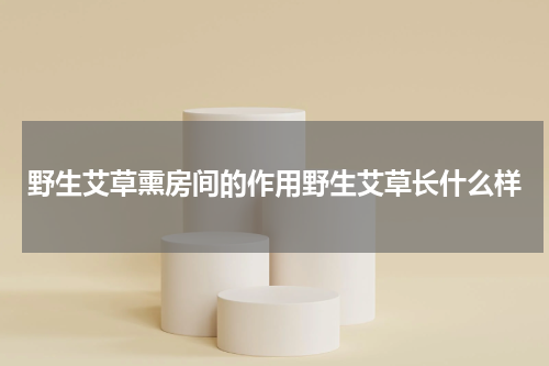 野生艾草熏房间的作用野生艾草长什么样