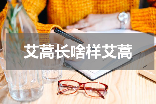 艾蒿长啥样艾蒿