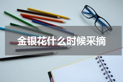金银花什么时候采摘