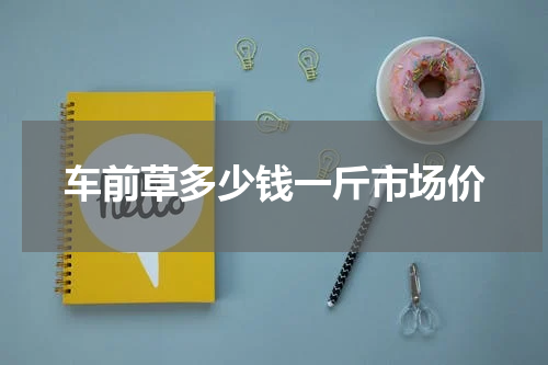 车前草多少钱一斤市场价