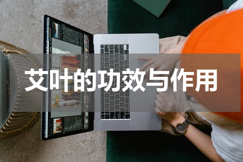 艾叶的功效与作用