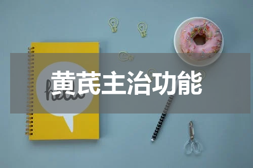 黄芪主治功能