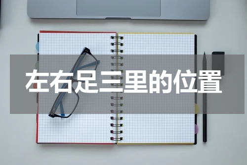 左右足三里的位置