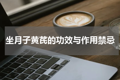 坐月子黄芪的功效与作用禁忌