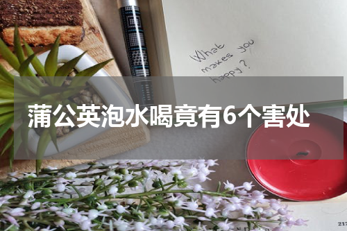 蒲公英泡水喝竟有6个害处