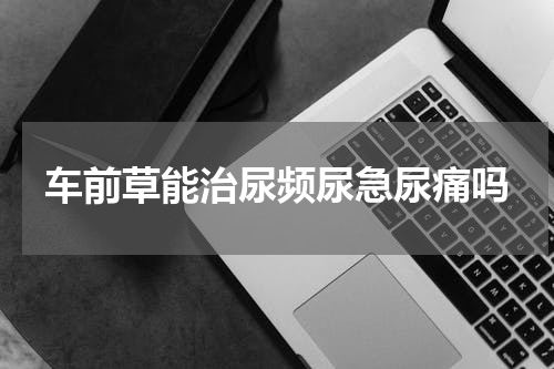 车前草能治尿频尿急尿痛吗