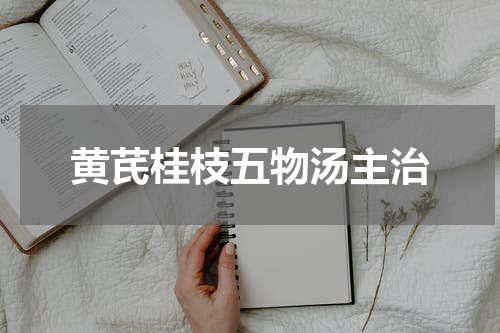 黄芪桂枝五物汤主治