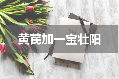 黄芪加一宝壮阳