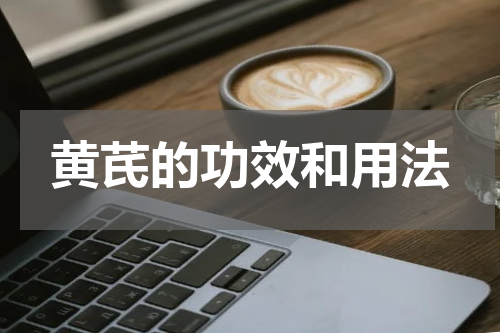 黄芪的功效和用法