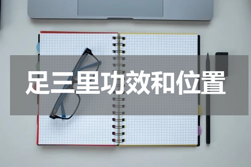 足三里功效和位置