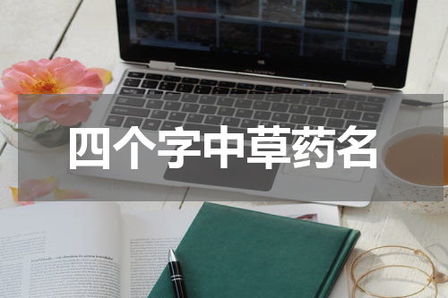 四个字中草药名