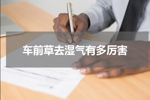车前草去湿气有多厉害