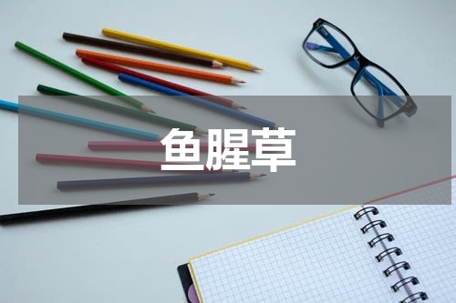 鱼腥草