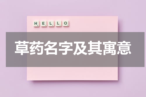 草药名字及其寓意