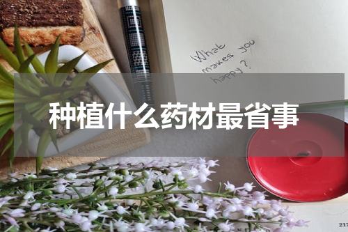 种植什么药材最省事