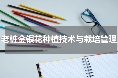 老桩金银花种植技术与栽培管理