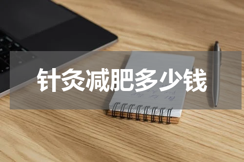 针灸减肥多少钱