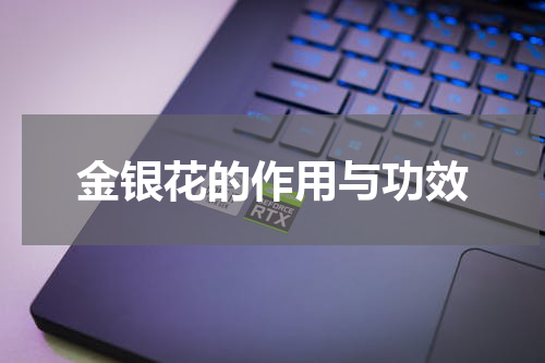 金银花的作用与功效