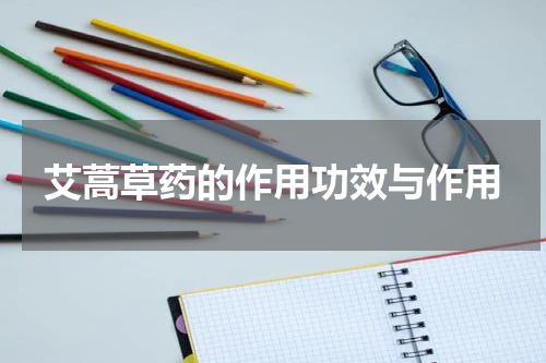 艾蒿草药的作用功效与作用