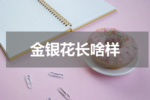 金银花长啥样