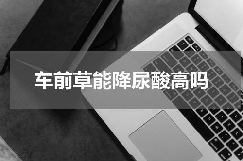 车前草能降尿酸高吗