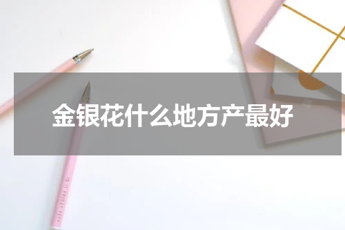 金银花什么地方产最好