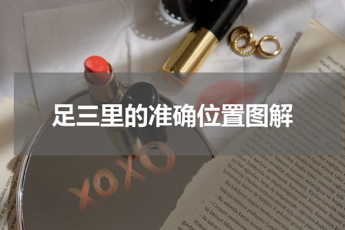 足三里的准确位置图解