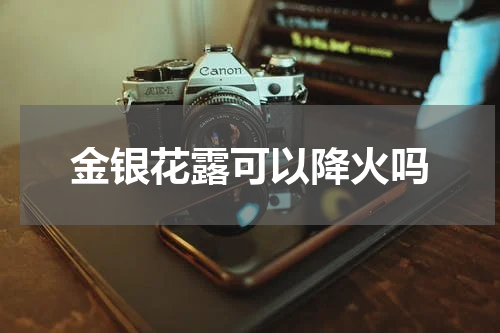金银花露可以降火吗