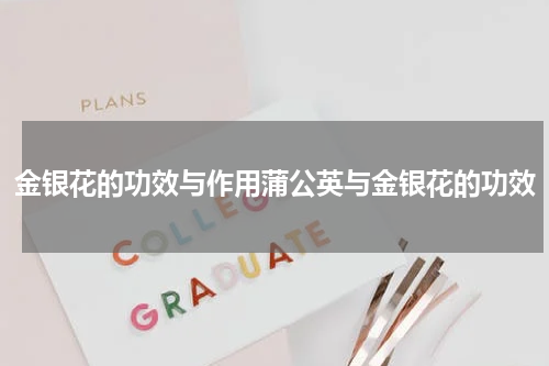 金银花的功效与作用蒲公英与金银花的功效