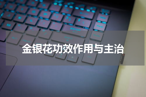 金银花功效作用与主治