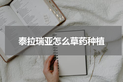 泰拉瑞亚怎么草药种植