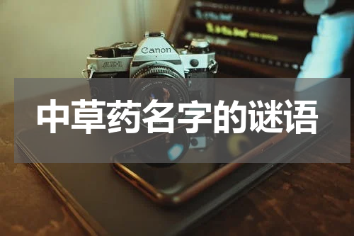 中草药名字的谜语