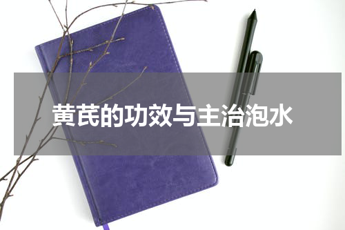 黄芪的功效与主治泡水