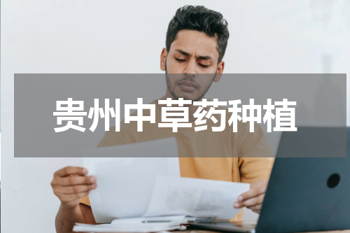 贵州中草药种植